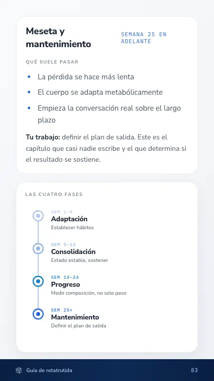 La línea de tiempo, fase por fase