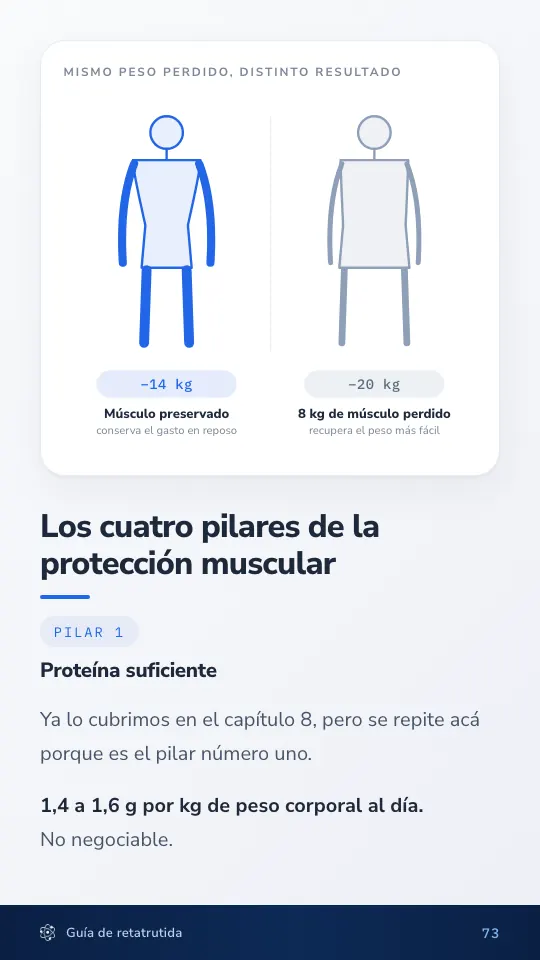 Página sobre preservación de masa muscular