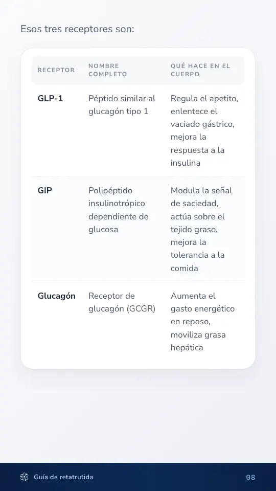 Página con la tabla de los tres receptores